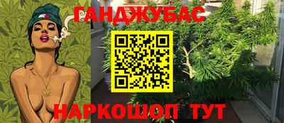 молекула духа Тверь