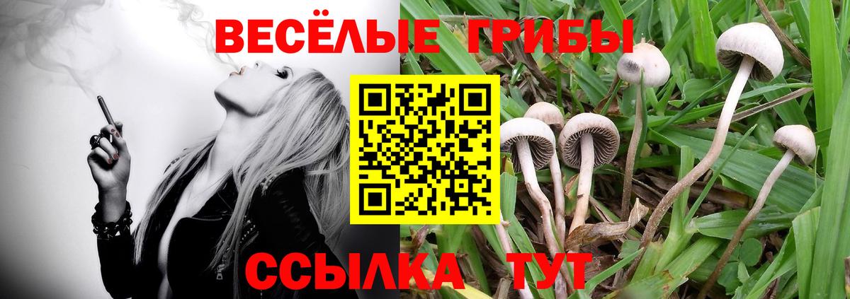 Надым  цена наркотик  Вход с VPN  Псилоцибиновые грибы ЛСД 